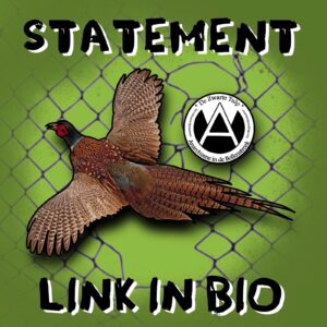 Picture of a bird flying in front of a cut open cage, text above and under the bird "Statement, link in bio", and a DZT logo next to the bird